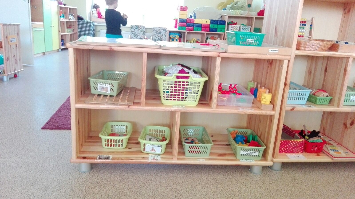 Priedes koka plaukti