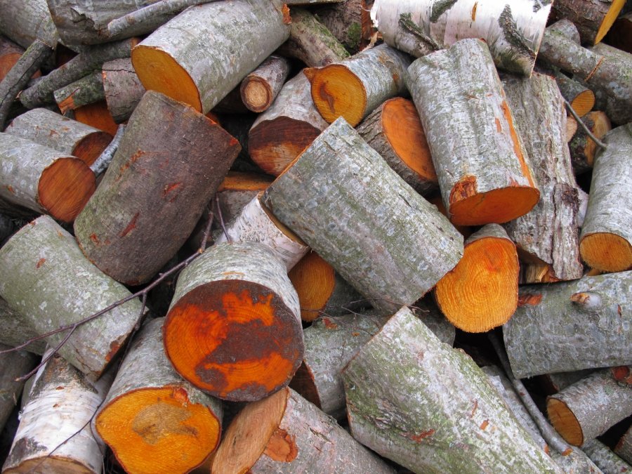 Malka, malkas ražošana, sagatavošana pēc vajadzīgā lieluma (zāģēšana, skaldīšana)  malkas tirdzniecība, malkas piegāde Vidzemē.