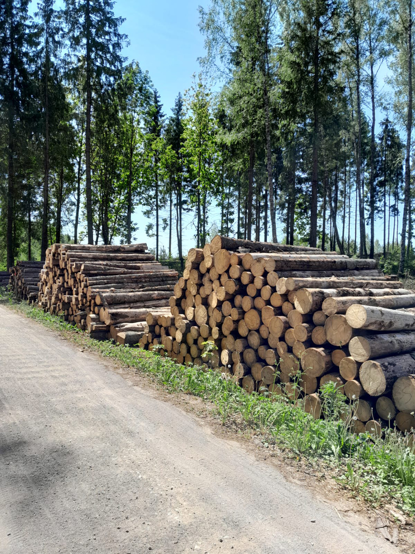 krautuve