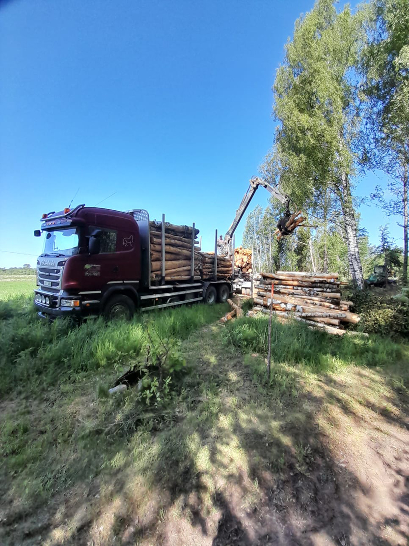 Mežizstrādes transports kokmateriālu pārvietošanai