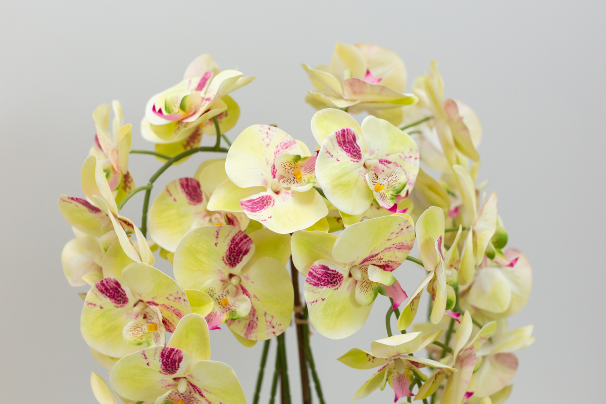 relaksējoša skaistumkopšana