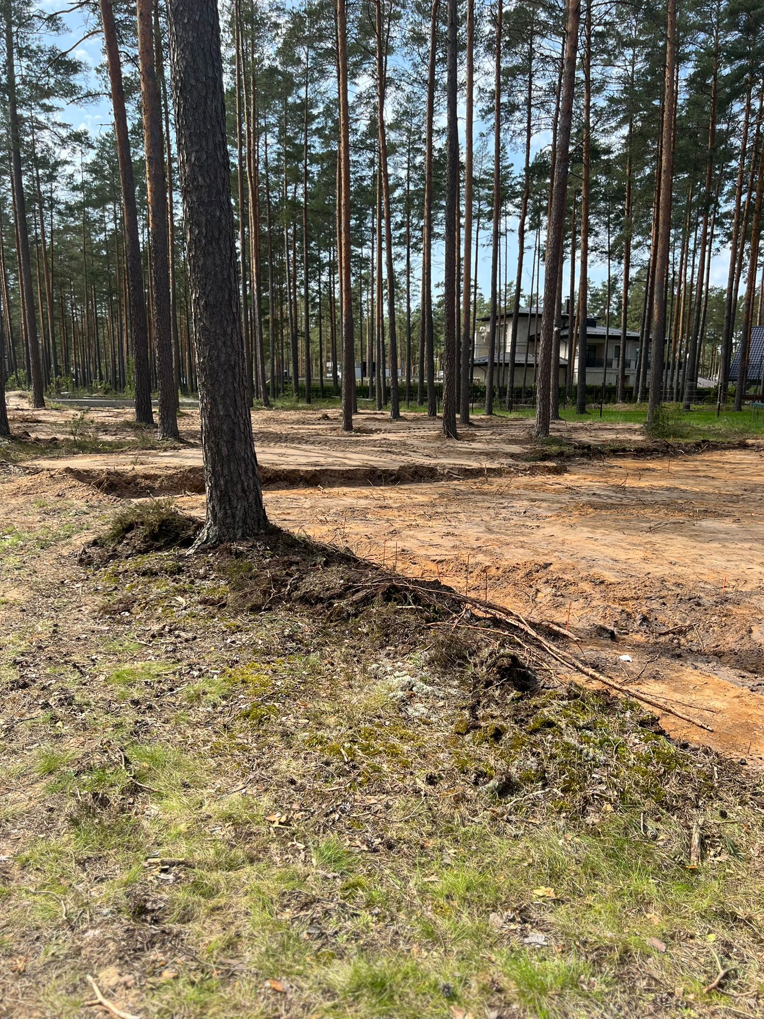 meža zemes transformācija