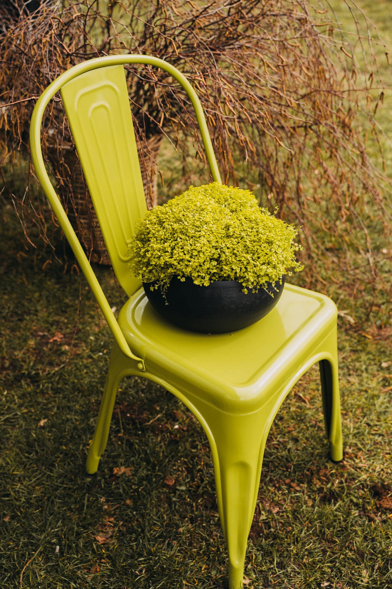 Tematiskās kompozīcijas