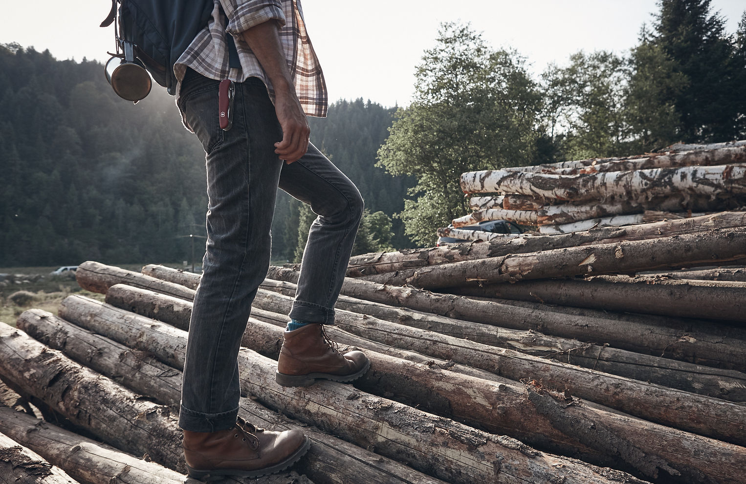 Zāģbaļķu iepirkšana