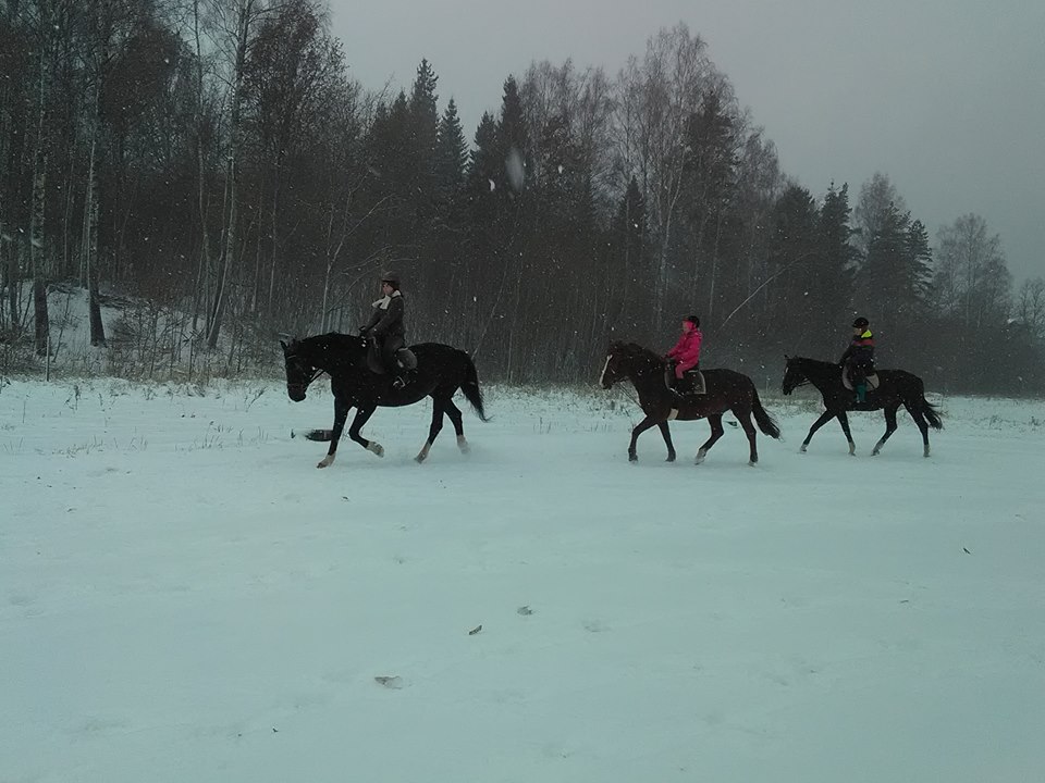 Par mums