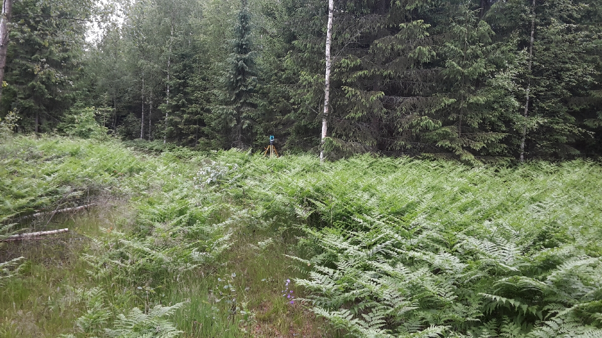 Topogrāfijas pakalpojumi