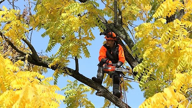 Dārza tehnika un darbarīki