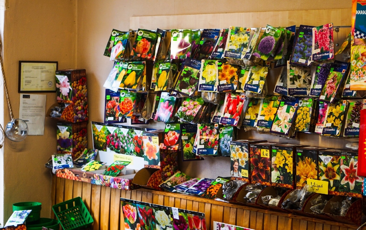 Ziedu veikals "Bukete"