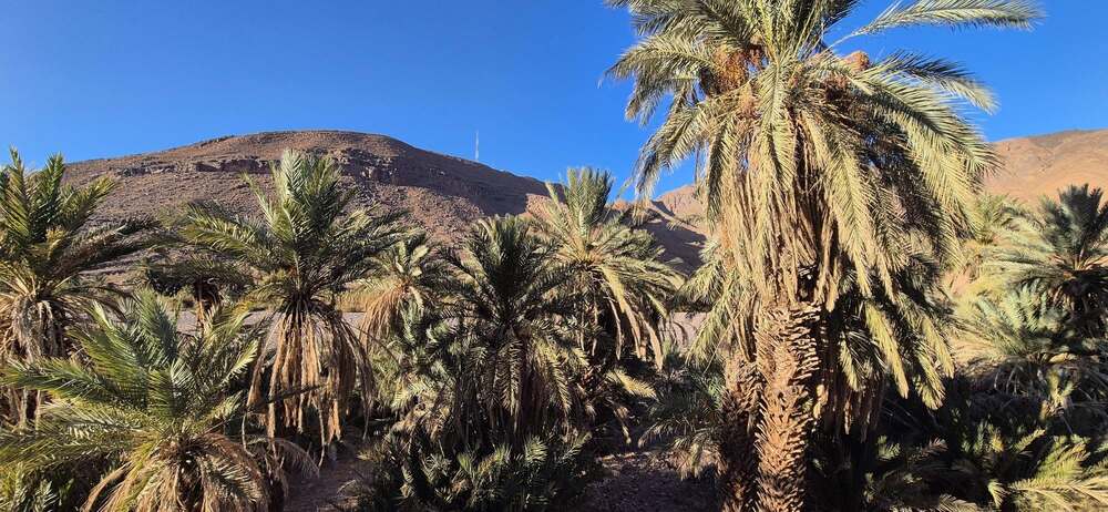 Ceļasoma.lv ceļojums