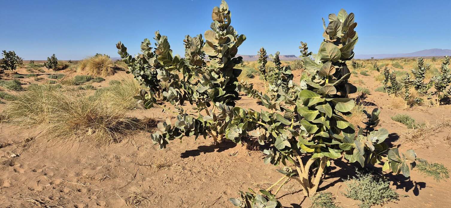 Ceļasoma.lv ceļojums