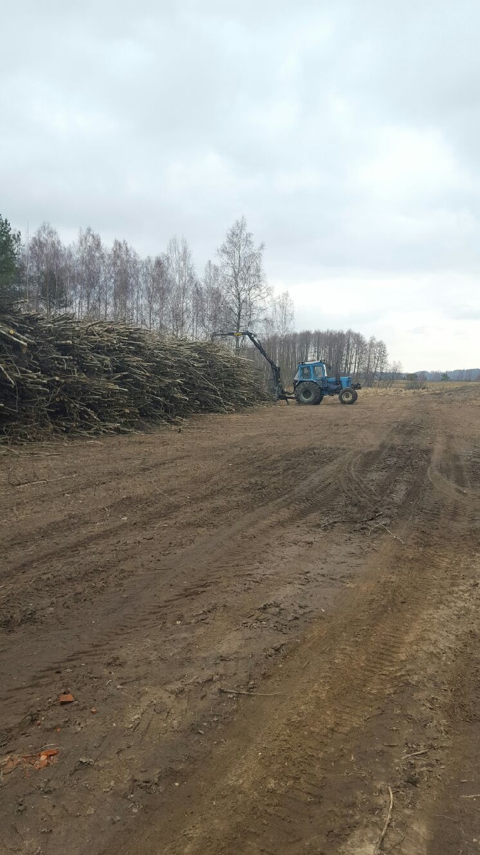 Forvardera pakalpojumi