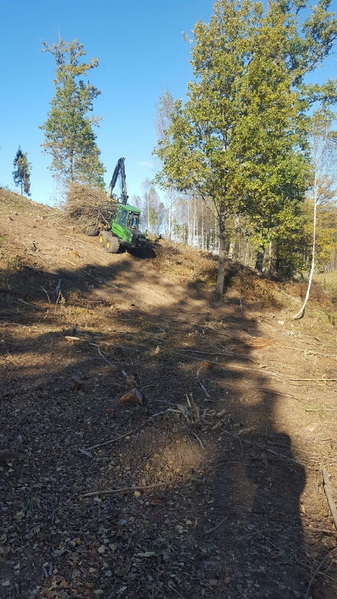Meža apsaimniekošana