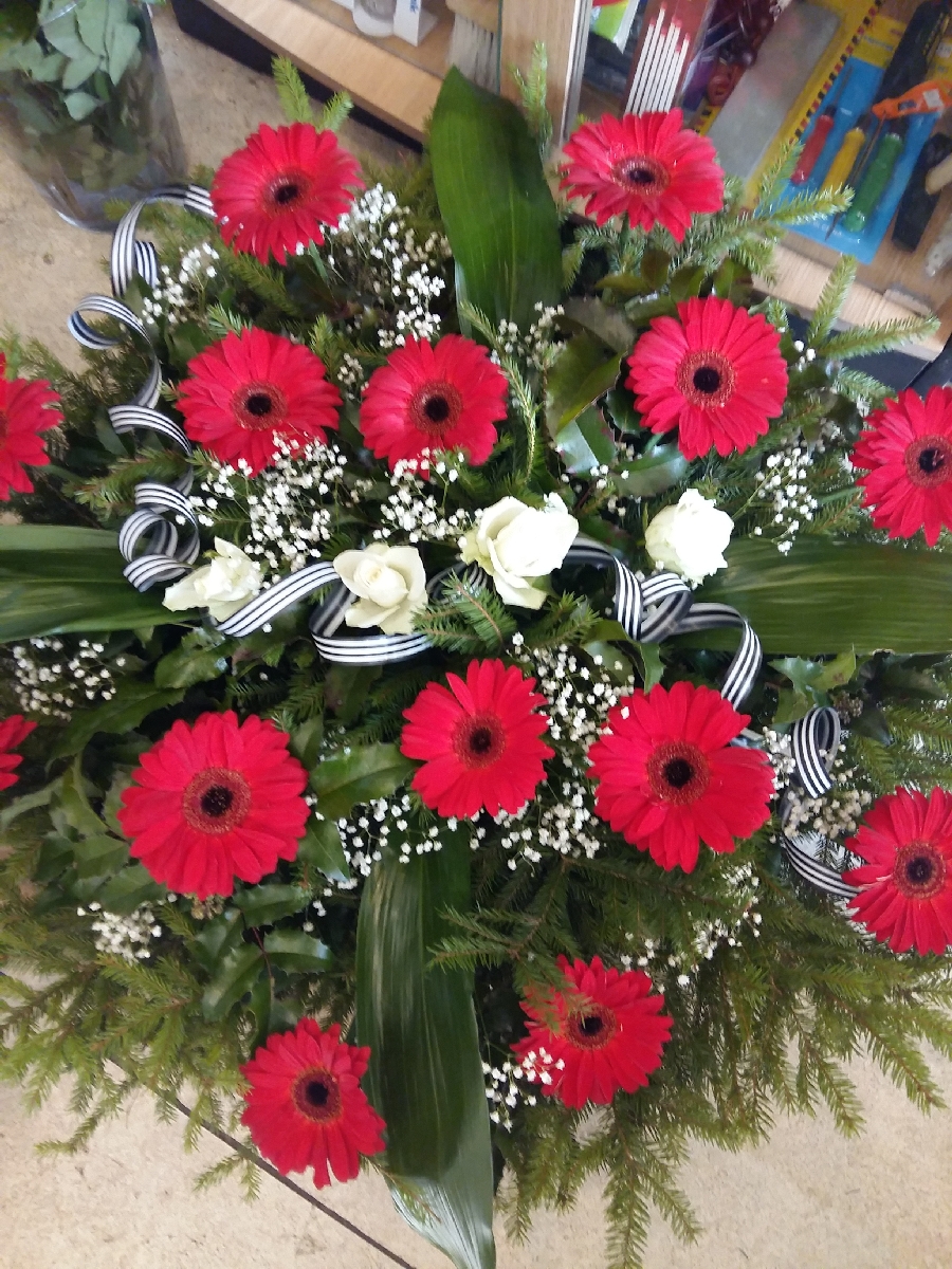 Gerberas