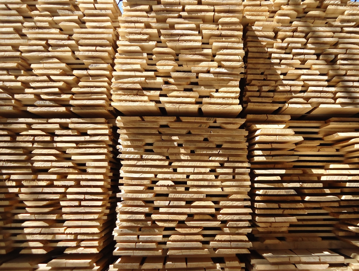 "GM Ozols", SIA, neapzāģētu dēļu ražošana