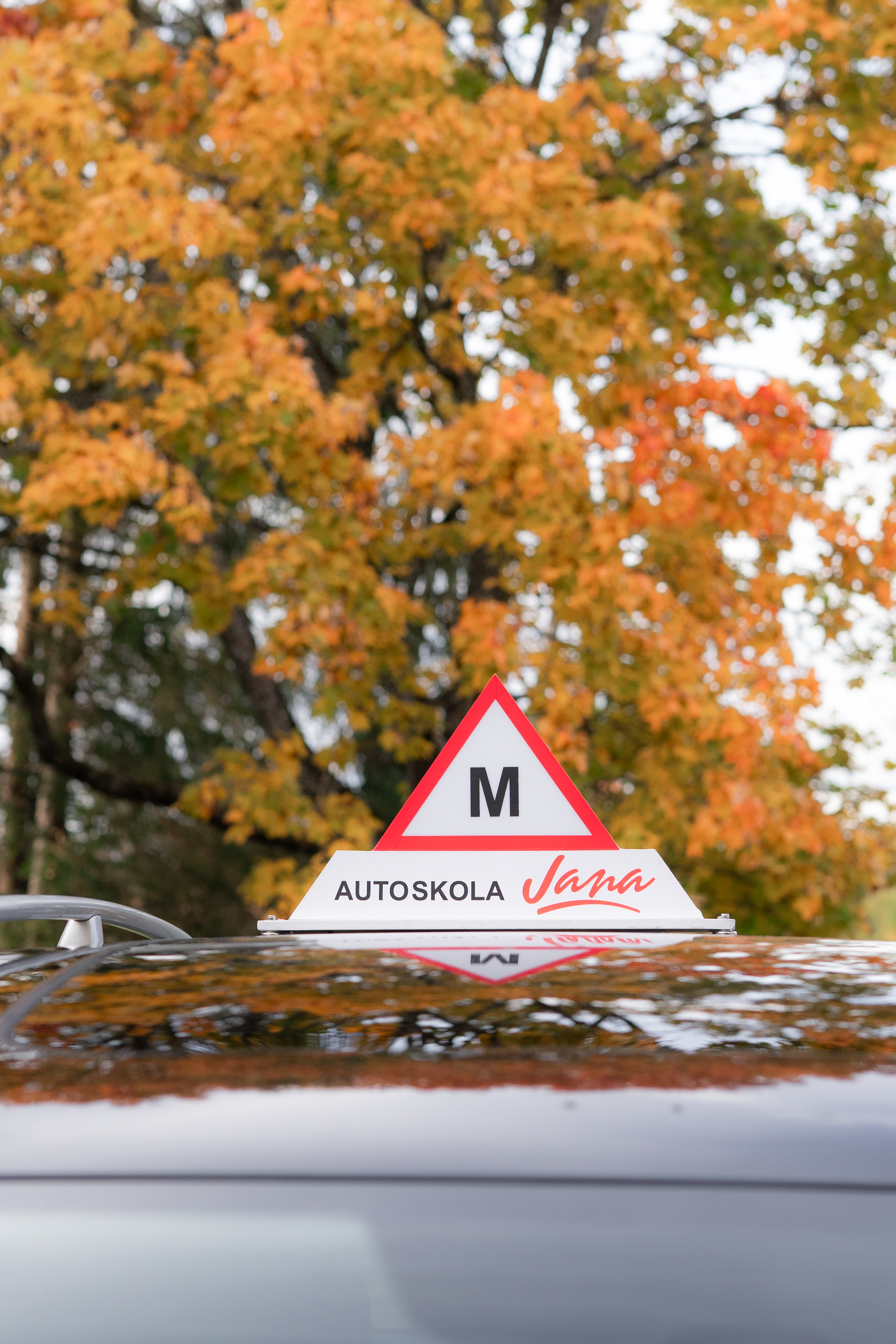 B kategorijas teorija Valmierā