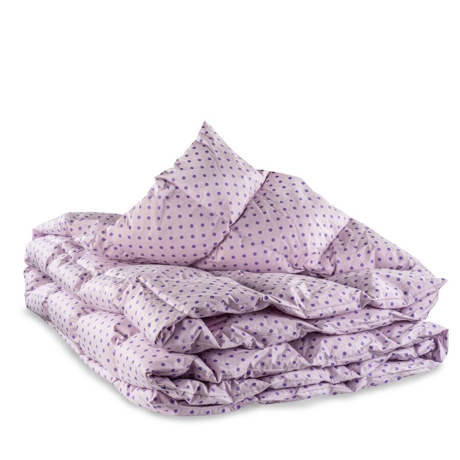 palvu, dūnu spilvenu un segu tīrīšana