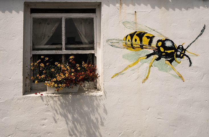 Deratizācija, dezinsekcija