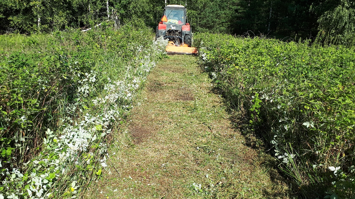 Mežizstrāde un mežkopība. Teritoriju sakopšana, koku izzāģēšana, zāles pļaušana un mulčēšana, zaru šķeldošana