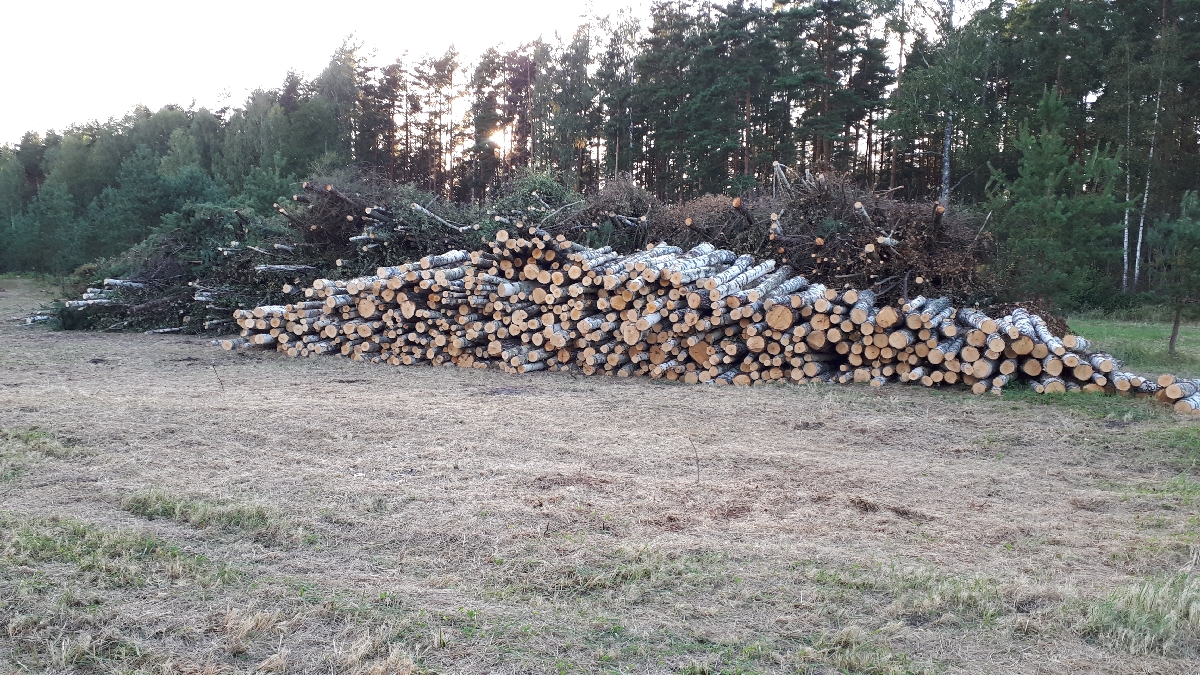 Mežizstrāde un mežkopība. Teritoriju sakopšana, koku izzāģēšana, zāles pļaušana un mulčēšana, zaru šķeldošana