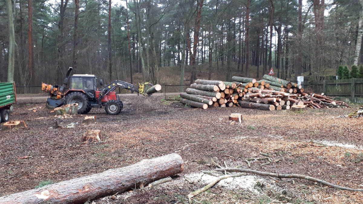 Mežizstrāde un mežkopība. Teritoriju sakopšana, koku izzāģēšana, zāles pļaušana un mulčēšana, zaru šķeldošana