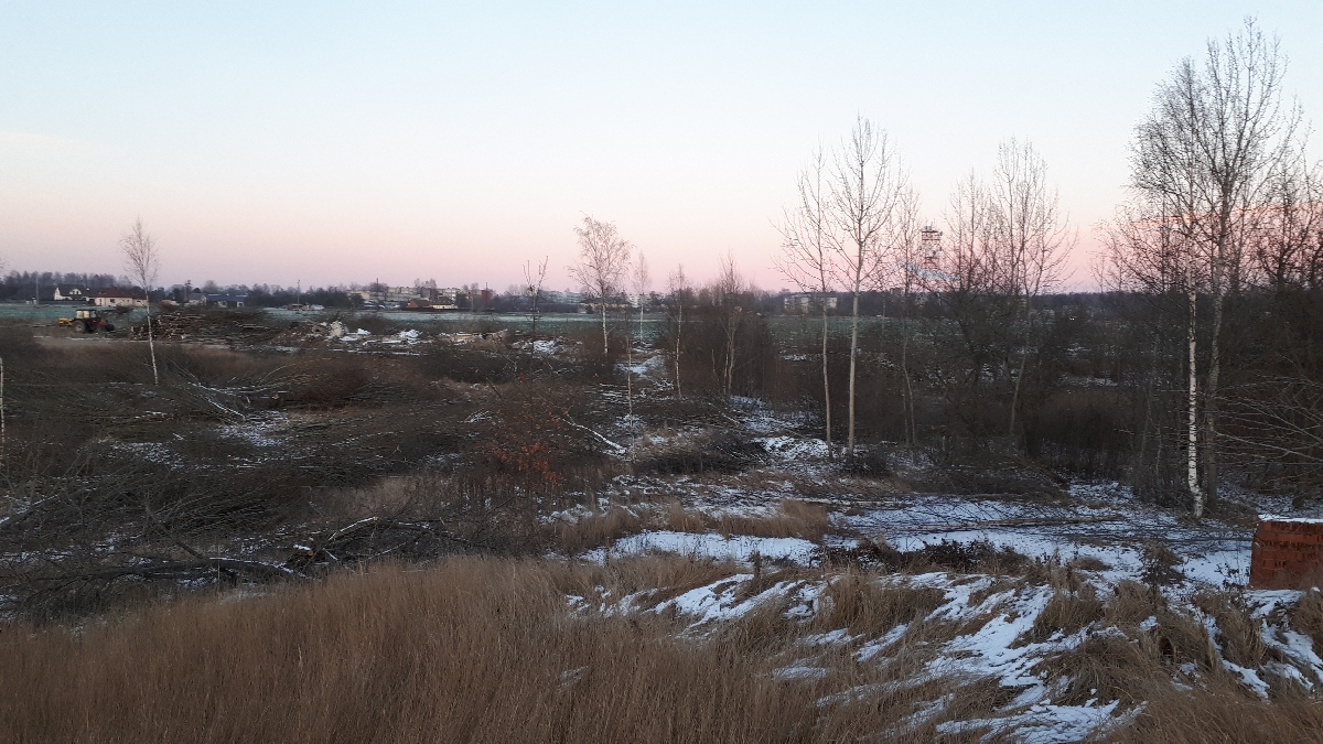 Mežizstrāde un mežkopība. Teritoriju sakopšana, koku izzāģēšana, zāles pļaušana un mulčēšana, zaru šķeldošana