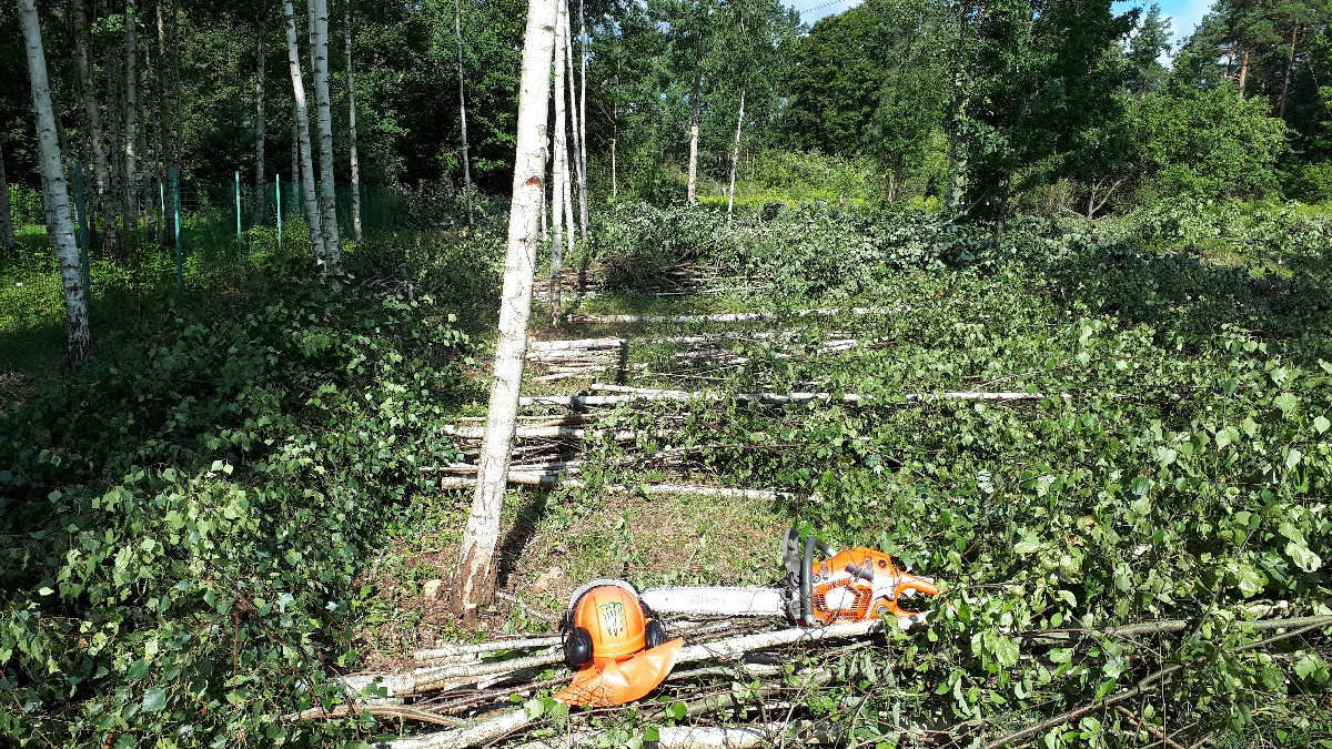 Mežizstrāde un mežkopība. Teritoriju sakopšana, koku izzāģēšana, zāles pļaušana un mulčēšana, zaru šķeldošana
