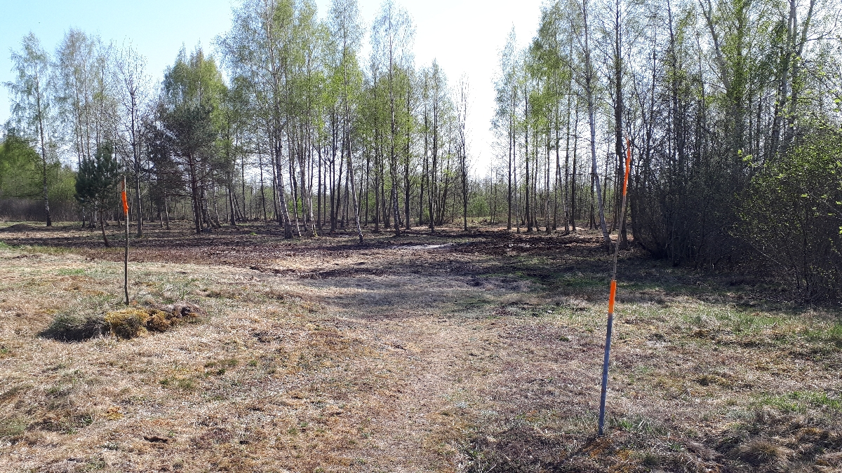 Mežizstrāde un mežkopība. Teritoriju sakopšana, koku izzāģēšana, zāles pļaušana un mulčēšana, zaru šķeldošana