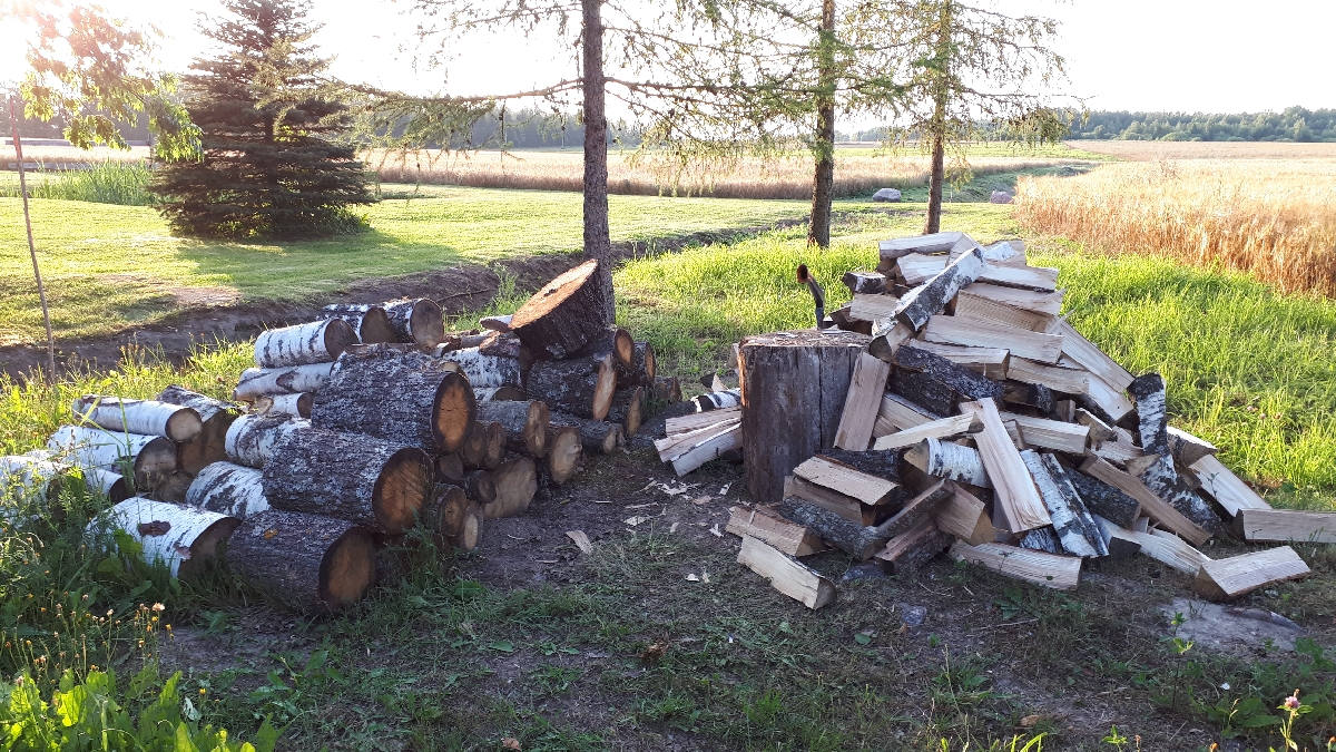 Mežizstrāde un mežkopība. Teritoriju sakopšana, koku izzāģēšana, zāles pļaušana un mulčēšana, zaru šķeldošana
