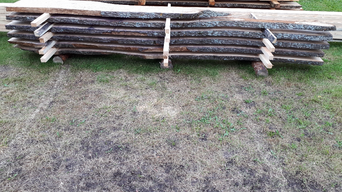 Mežizstrāde un mežkopība. Teritoriju sakopšana, koku izzāģēšana, zāles pļaušana un mulčēšana, zaru šķeldošana