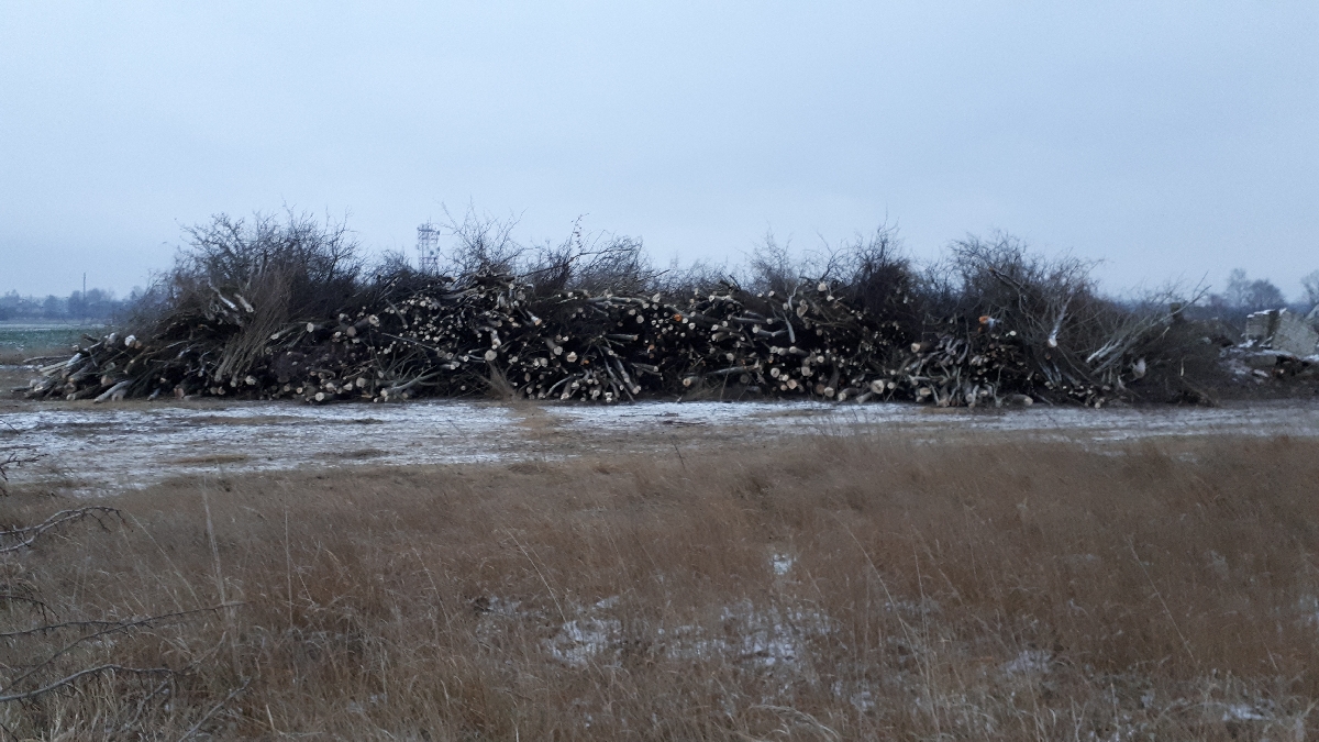 Mežizstrāde un mežkopība. Teritoriju sakopšana, koku izzāģēšana, zāles pļaušana un mulčēšana, zaru šķeldošana