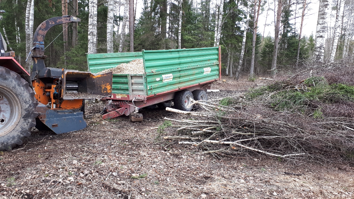 Mežizstrāde un mežkopība. Teritoriju sakopšana, koku izzāģēšana, zāles pļaušana un mulčēšana, zaru šķeldošana