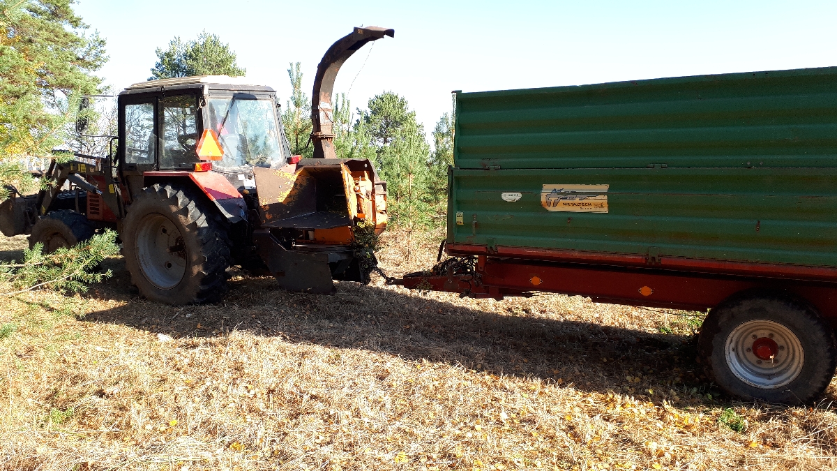 Mežizstrāde un mežkopība. Teritoriju sakopšana, koku izzāģēšana, zāles pļaušana un mulčēšana, zaru šķeldošana