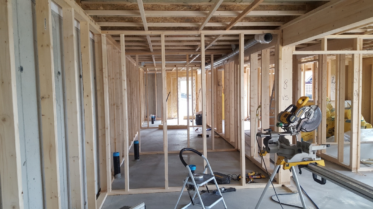 Starpsienas un latojums