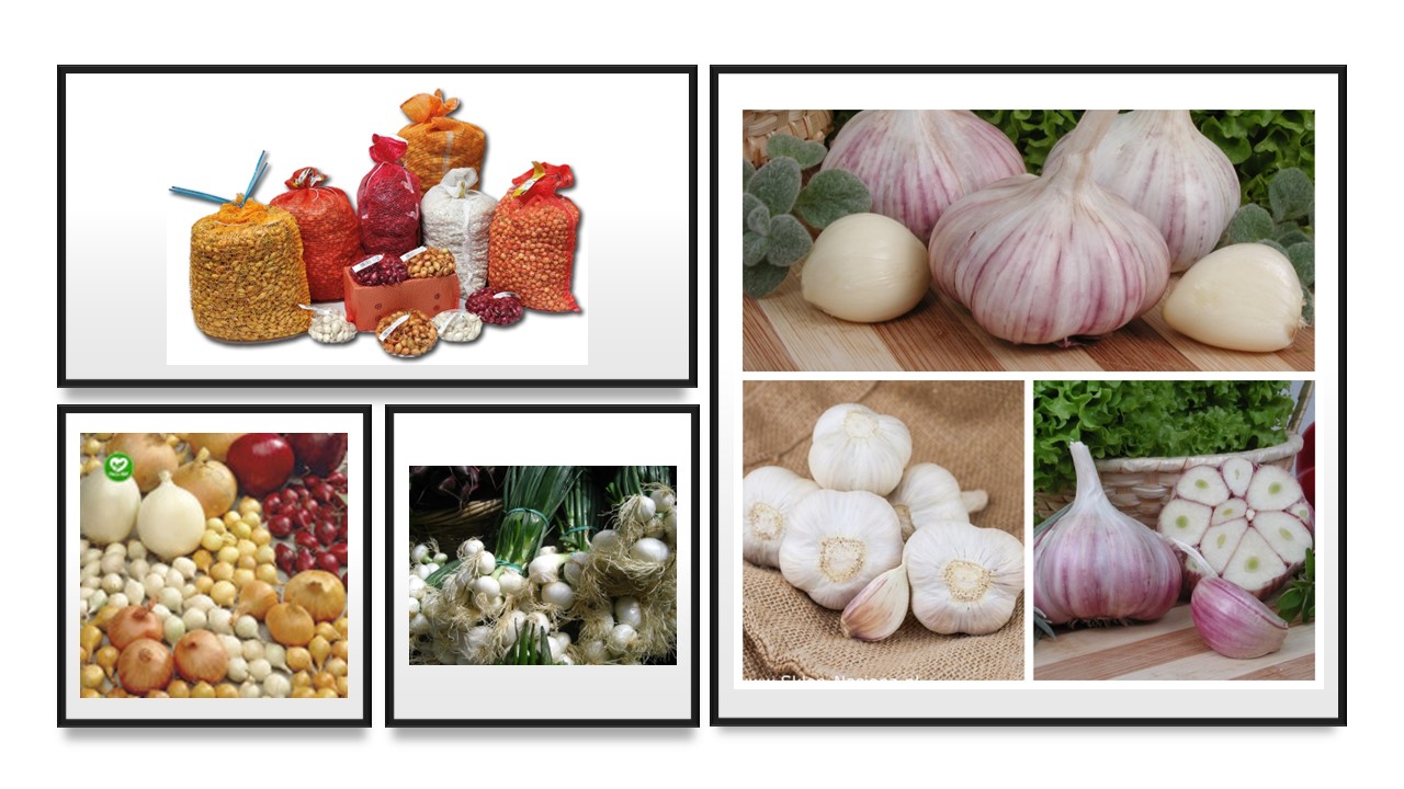 Sīksīpoli un ķiploki stādīšanai