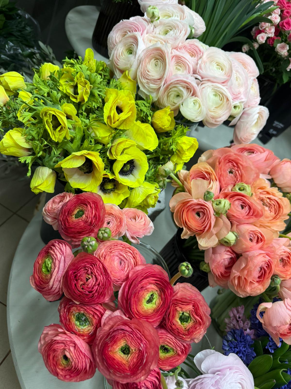 Ziedu kompozīcijas un floristika