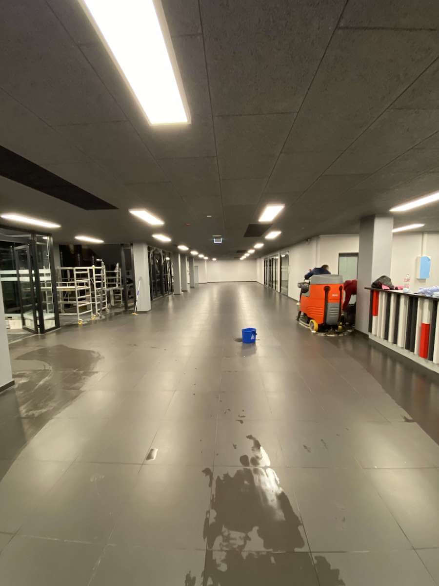 Lielveikalu uzkopšana