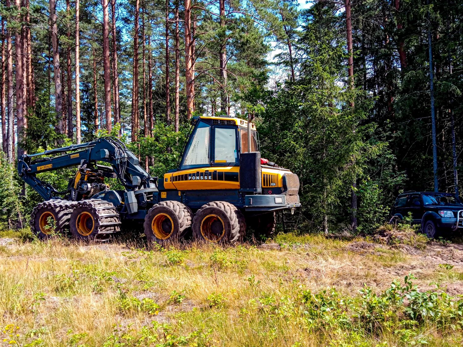 Meža apsaimniekošana