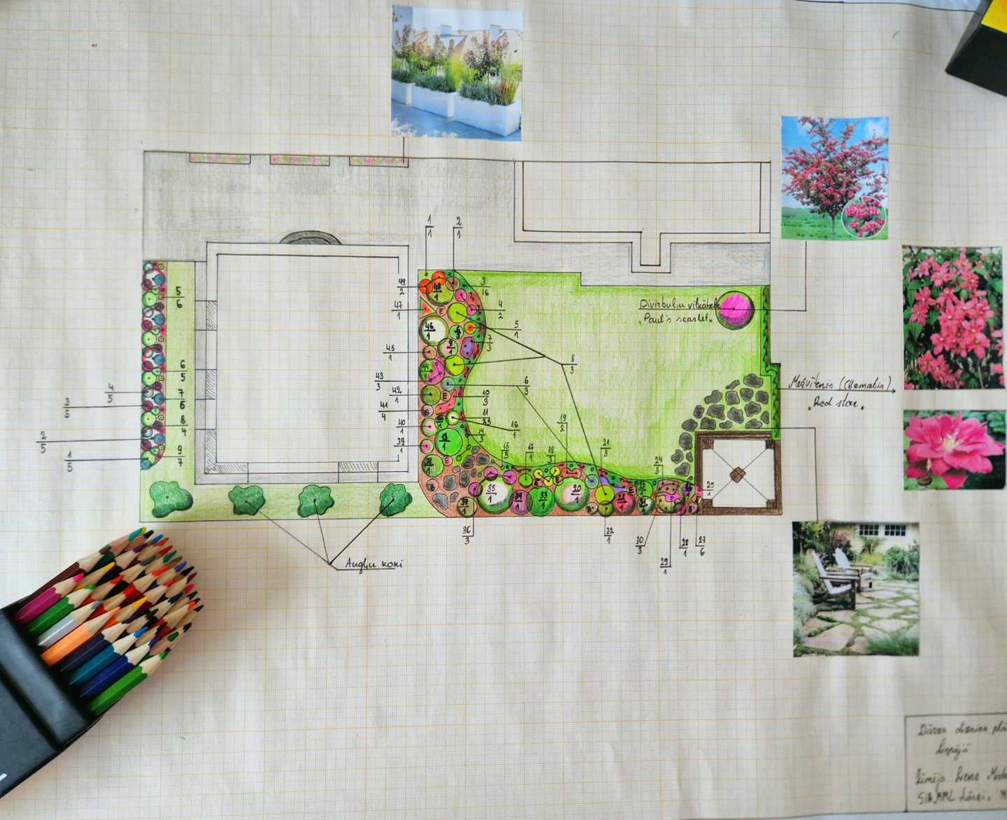 dārza dizaina projekts