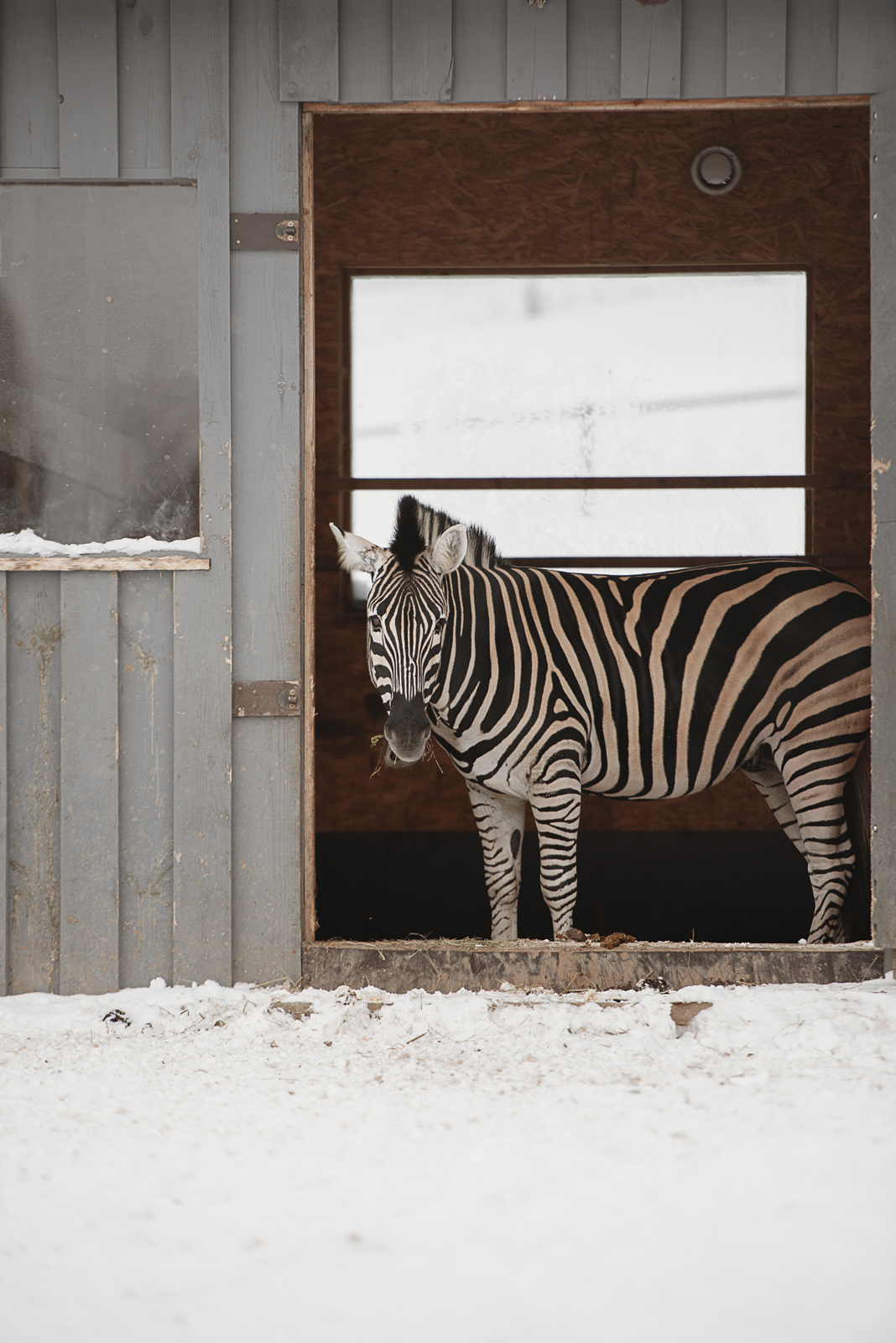 Siguldas ZOO