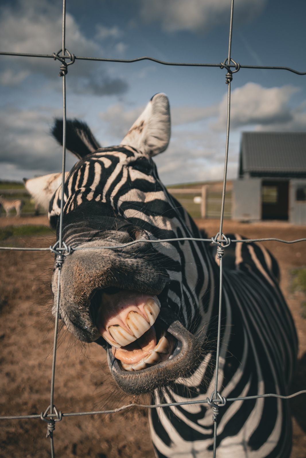 Siguldas ZOO