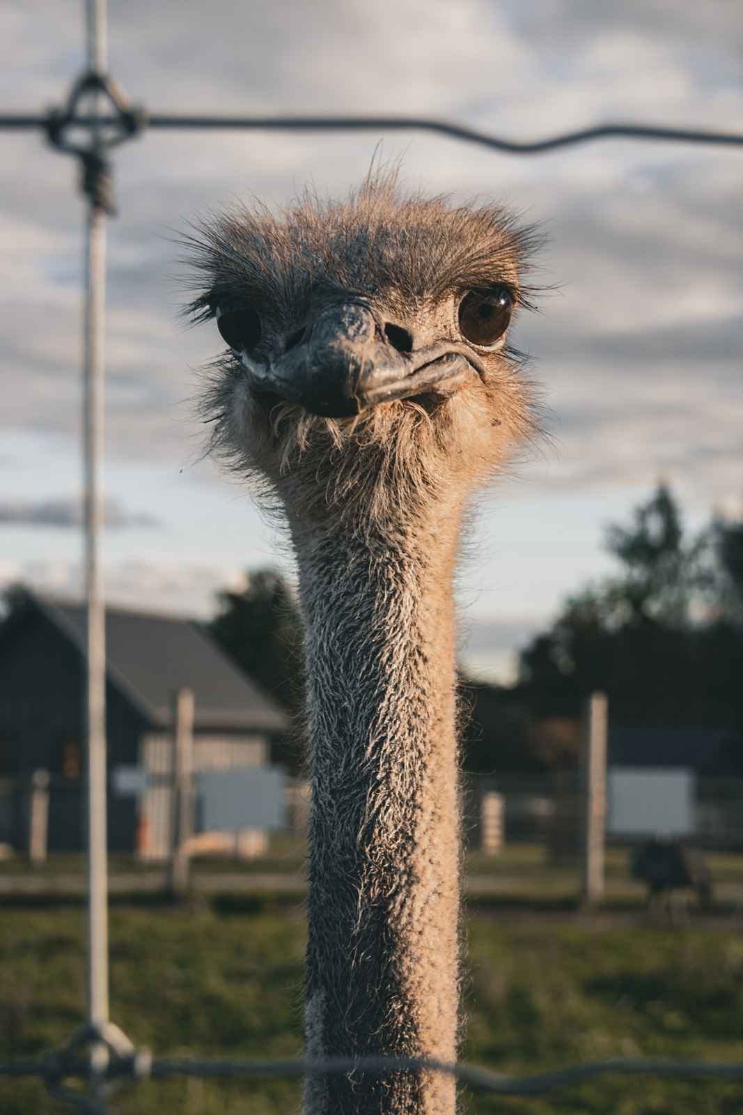 Siguldas ZOO