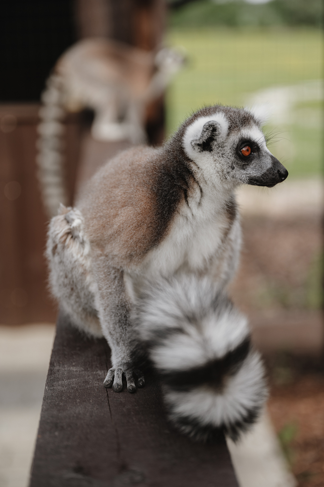 Siguldas ZOO