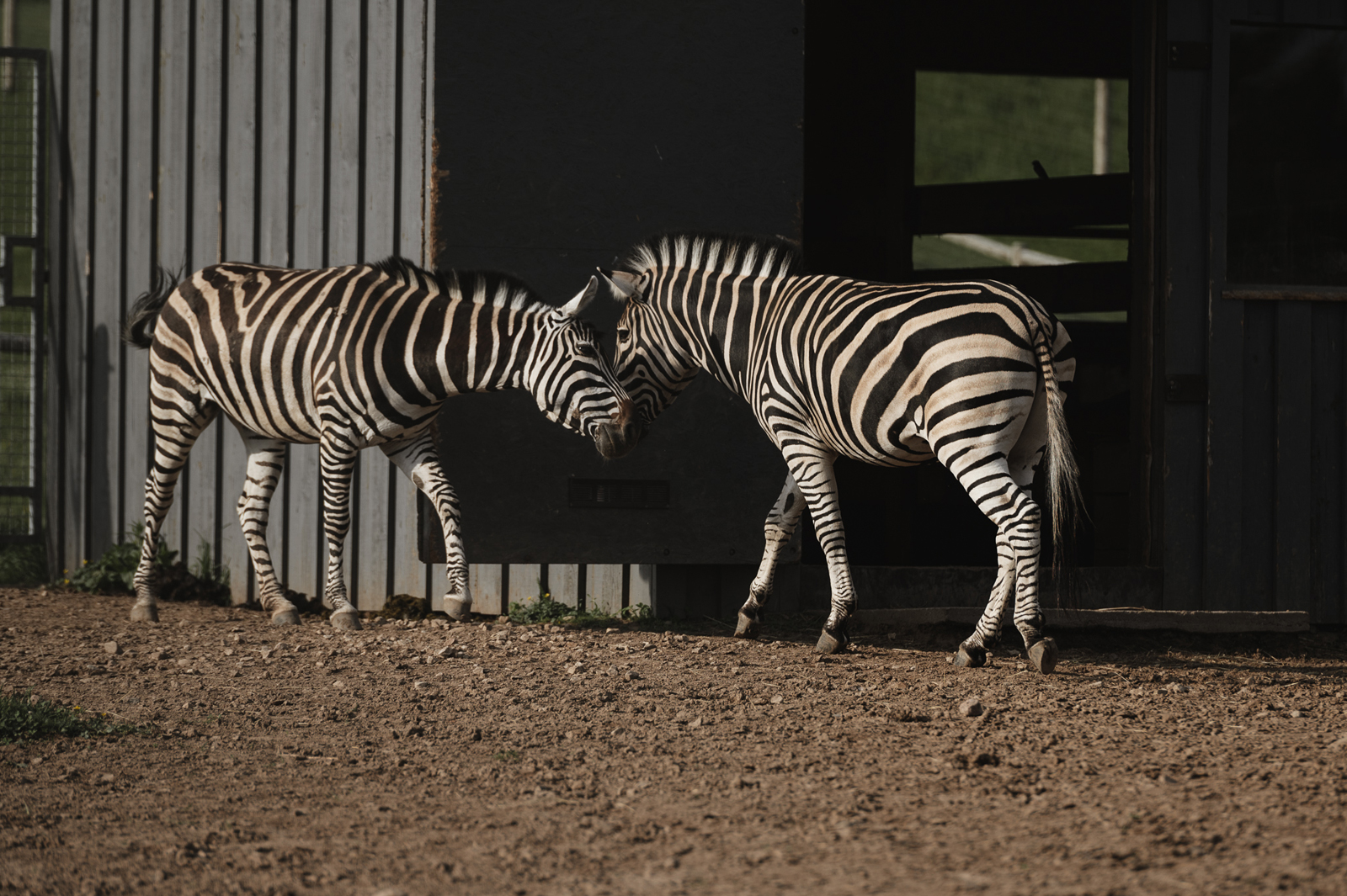 Siguldas ZOO