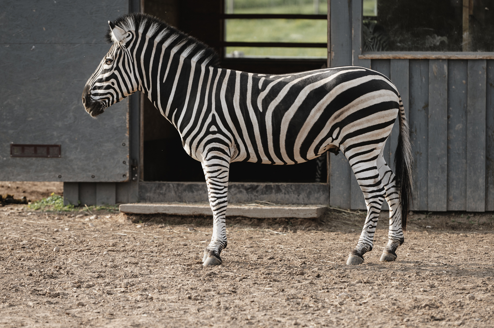 Siguldas ZOO