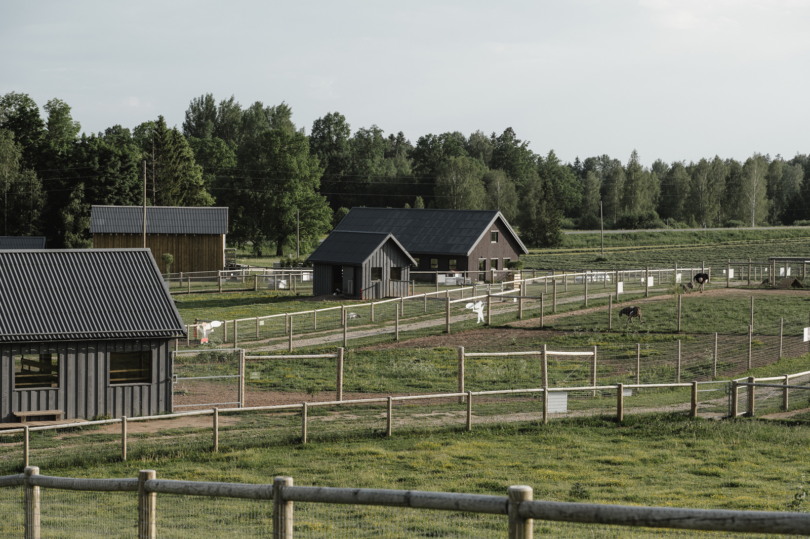 Siguldas ZOO