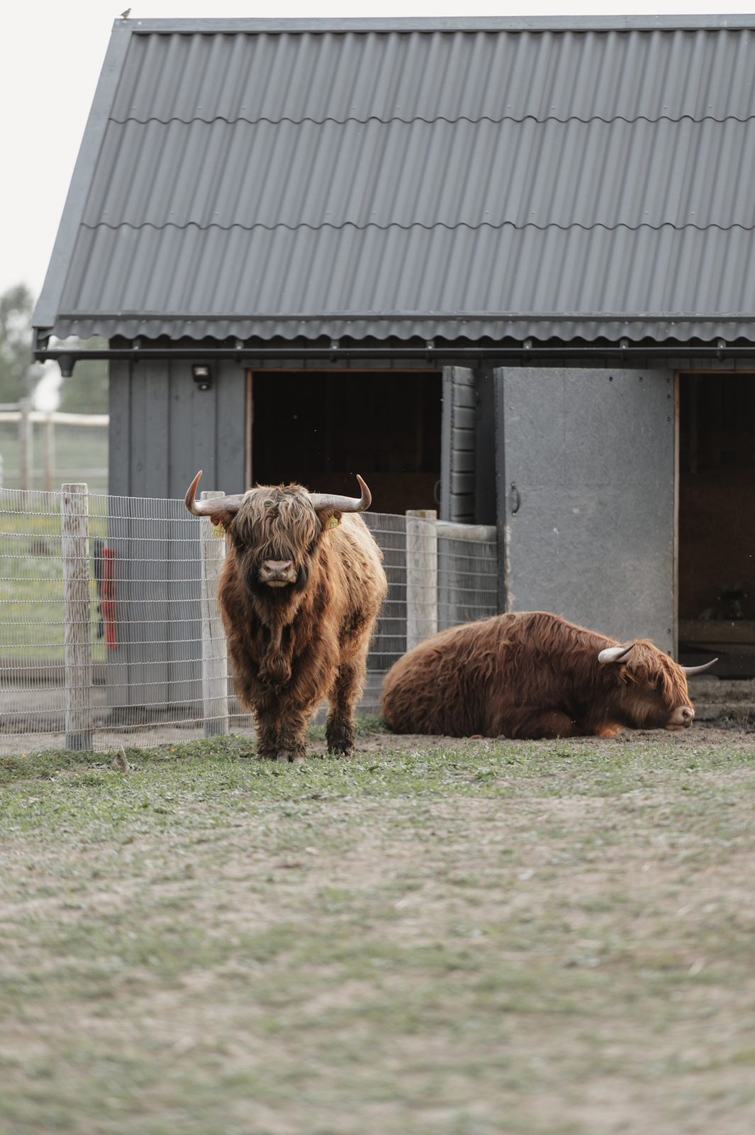 Siguldas ZOO