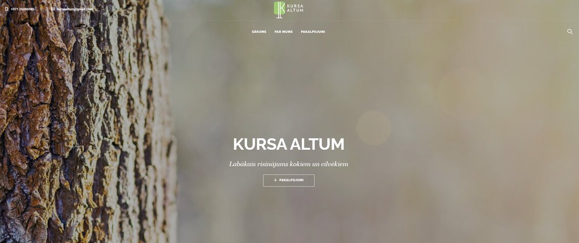 https://kursaaltum.com/