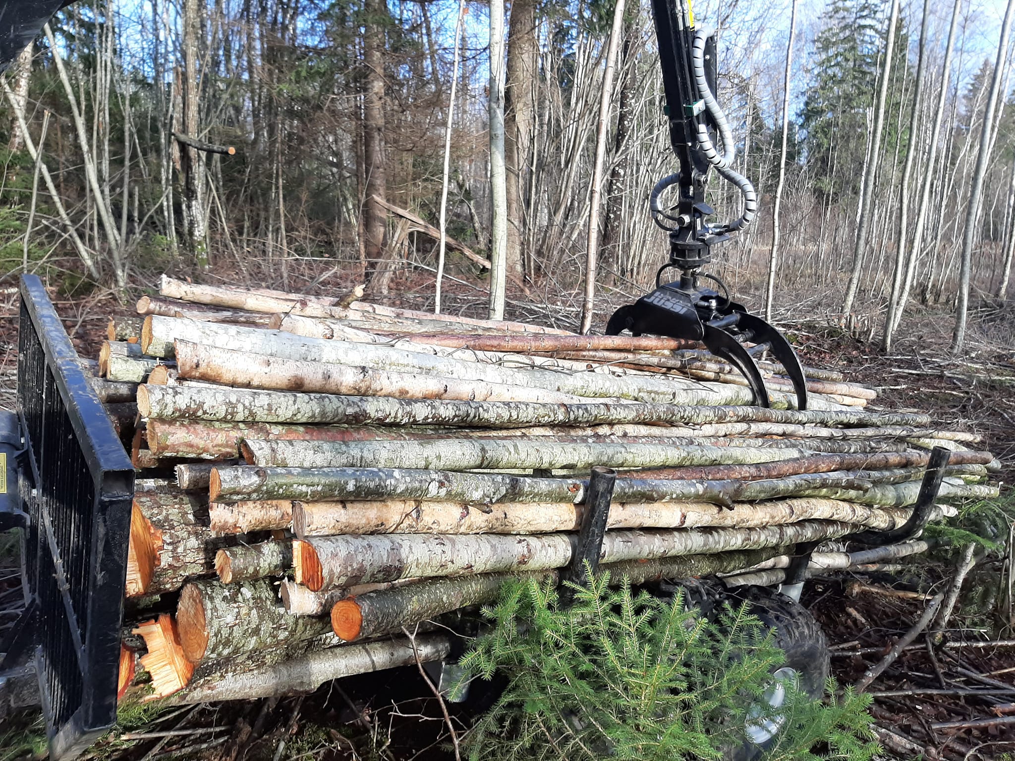 Mazgabarīta meža tehnikas pakalpojumi