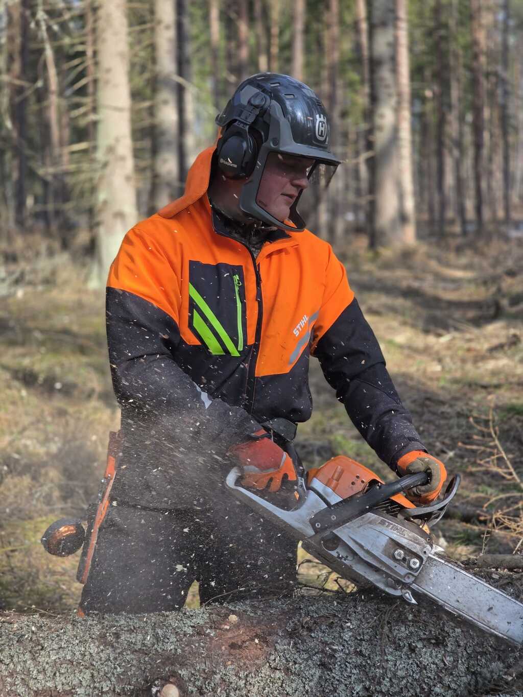 Profesionāla cirsmu izstrāde ar motorzāģi Rēzeknes novadā