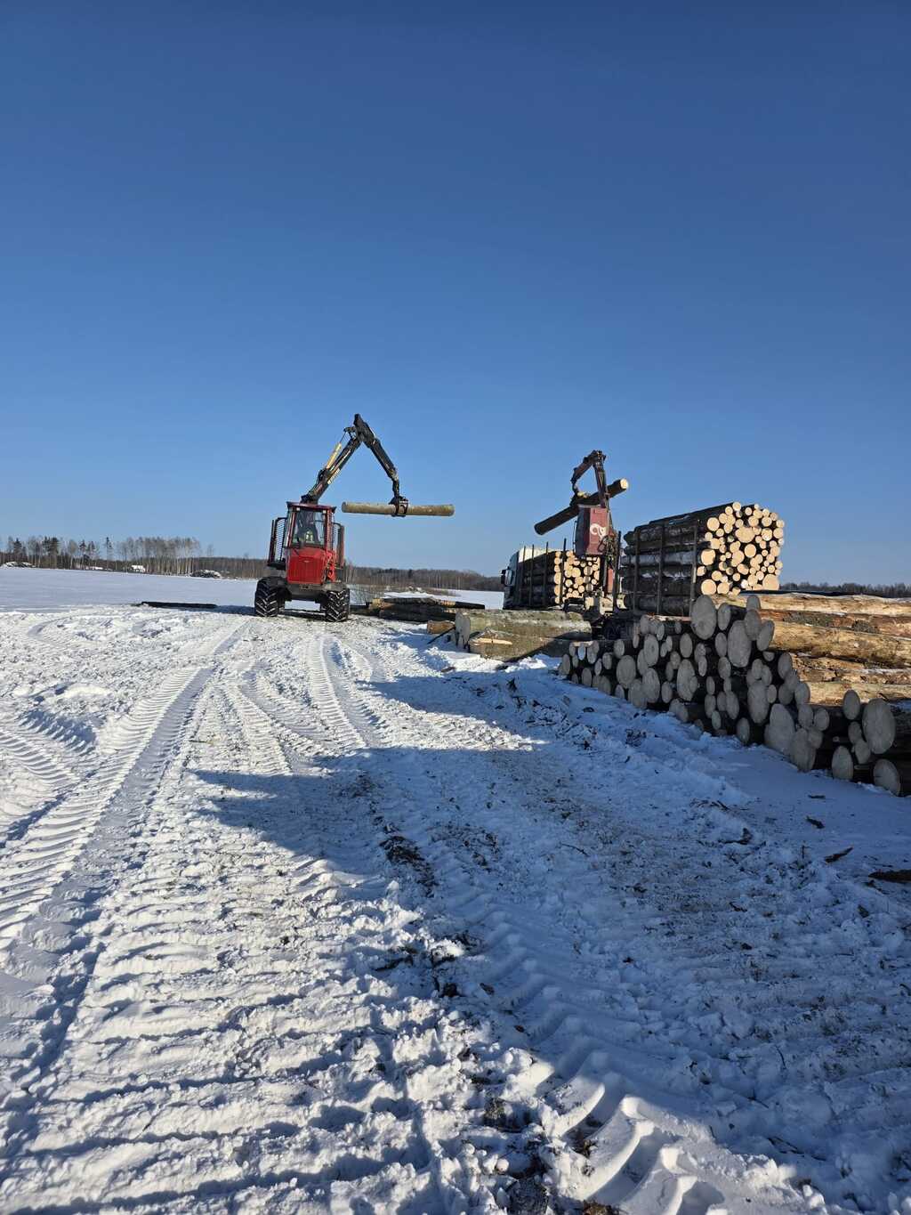 Kokmateriālu pievešana un kraušana ar tehniku pēc izstrādes